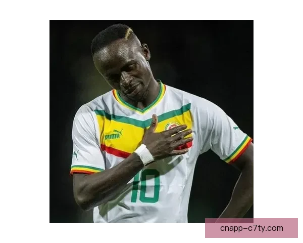 非洲杯扩军28队 塞内加尔退赛引发新规调整